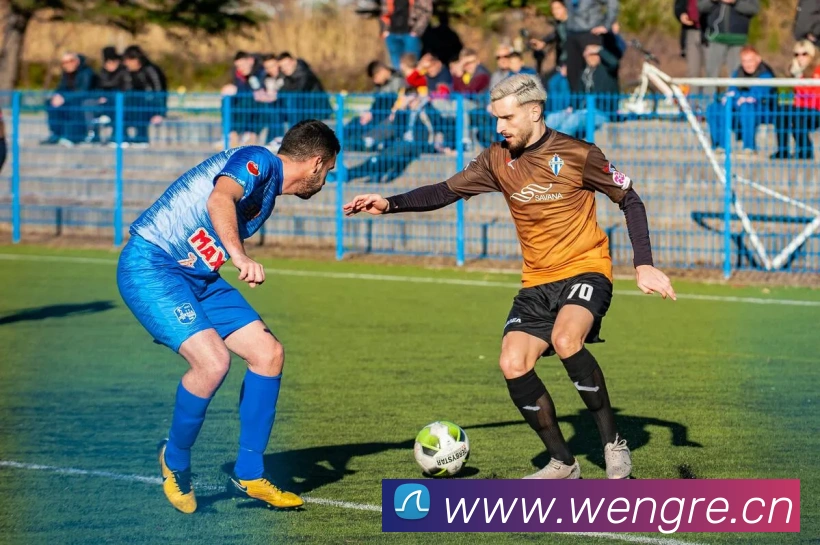 开云官方登录APP 封面图